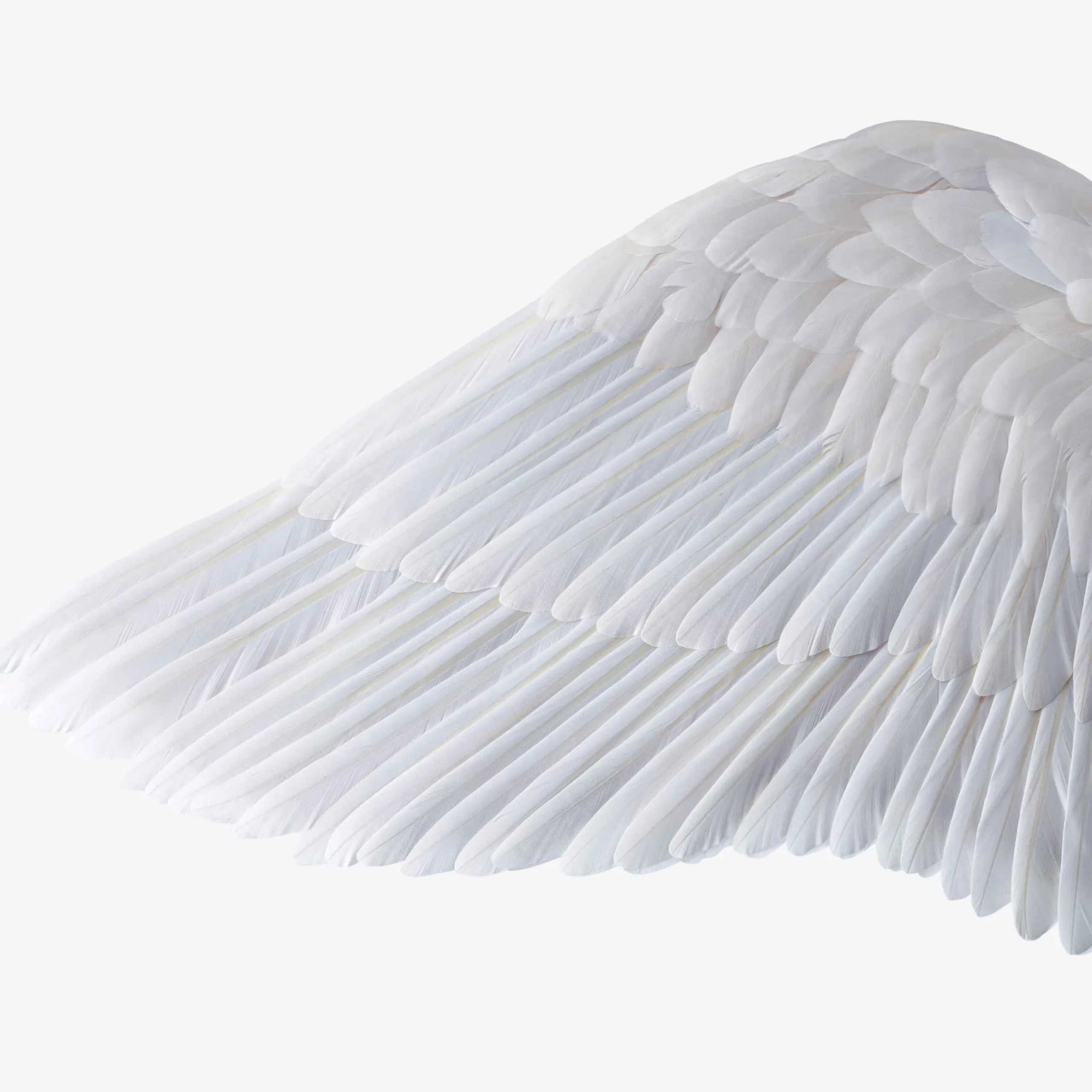 Sculptures Animalières Et Prestige-Baccarat Sculpture Cheval Olympus Pegasus